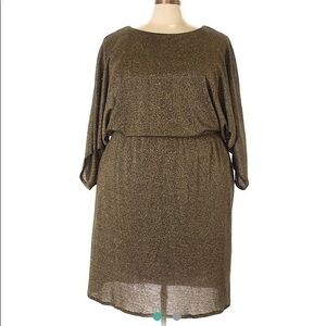 Metallic Dress with Batwing sleeves